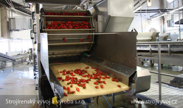 Pocket conveyor for blanching