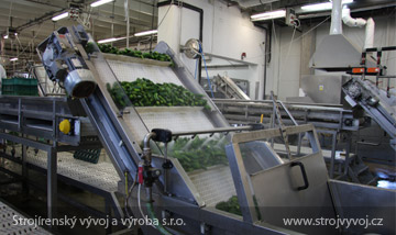 Vegetable brush washer