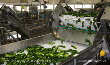 Vegetable brush washer