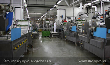 Vegetable brush washer