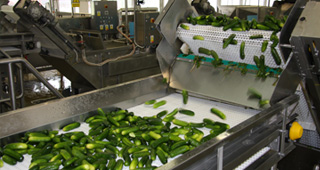Transportation of raw materials
