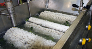 Washing of raw materials